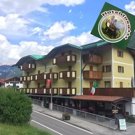 Tosa Hotel 3*