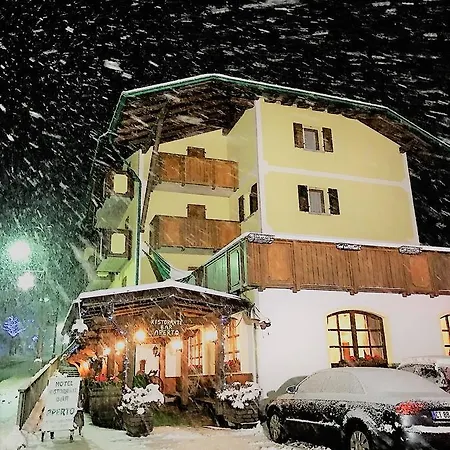 Hotel Tosa 3*